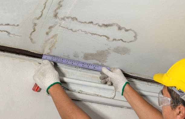 Reliable Water Damage Repair contractor in Gallaway, TN by Hirex Water Damage